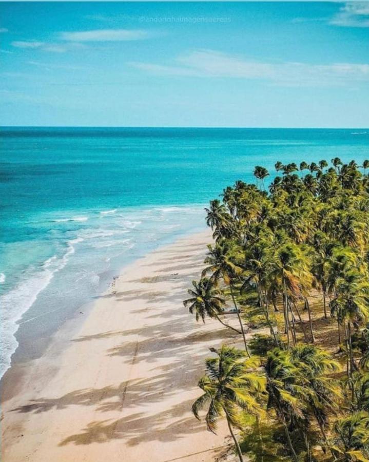 Flat Eco Resort Praia Carneiros Pe Tamandaré エクステリア 写真